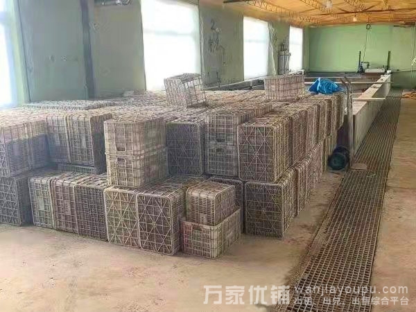 金州杏树屯生蚝加工厂转让出兑，接手即可经营