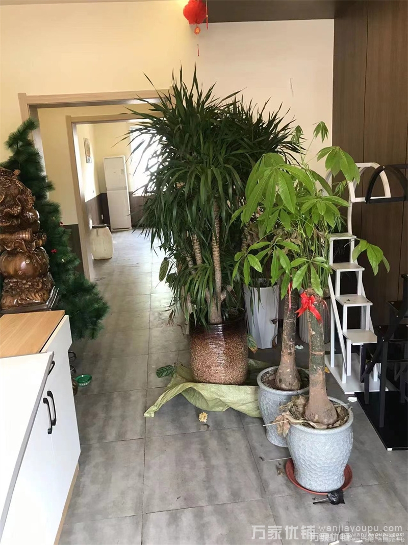 旺铺出租，全新装修，无兑费，适合各种经营